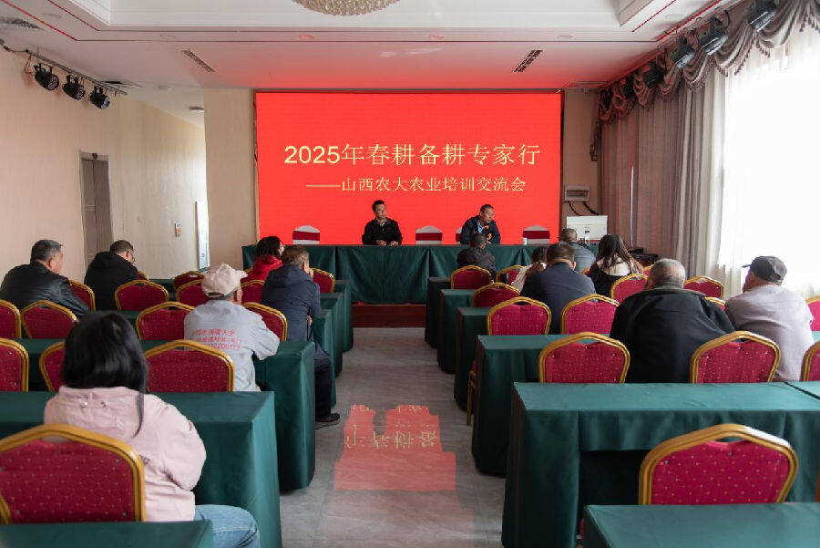交流会现场（楚向东 摄）