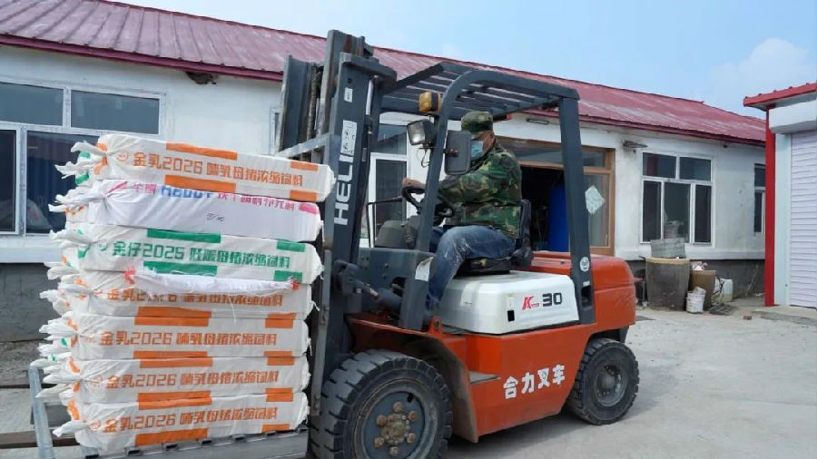 工人用叉车将棉球棒成品装车发货（纪艾彤 摄）