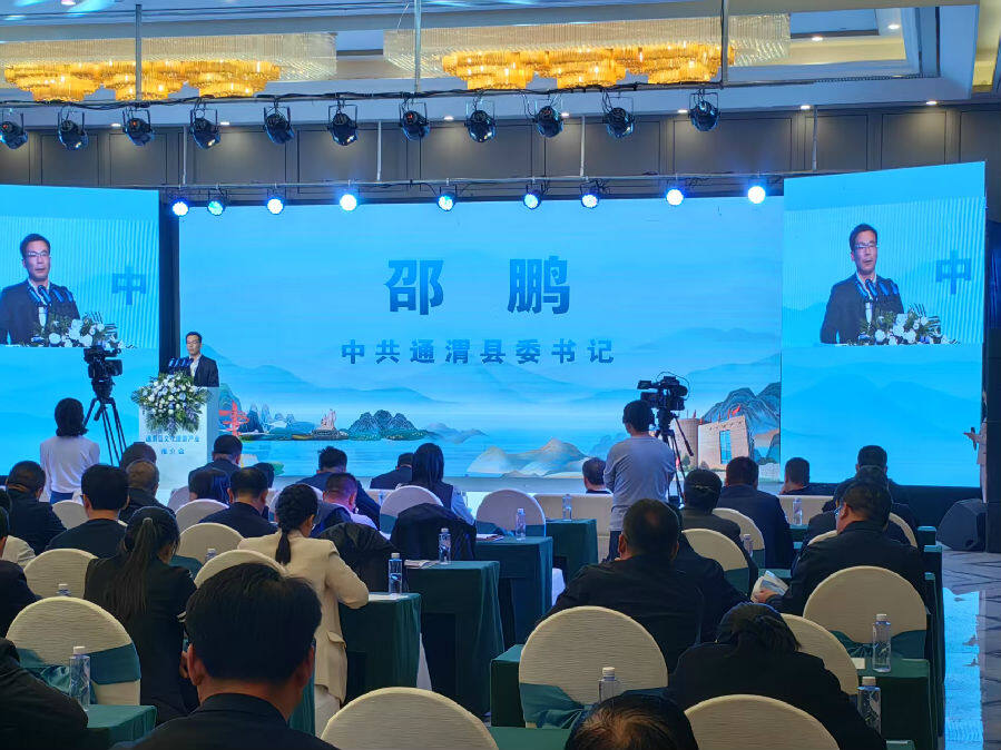 图为推介会现场 （张赛 摄）