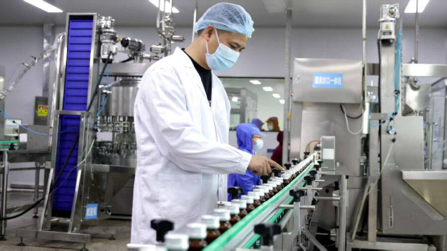 加格达奇林业局右岸白令桦树汁生产线（褚光 摄）