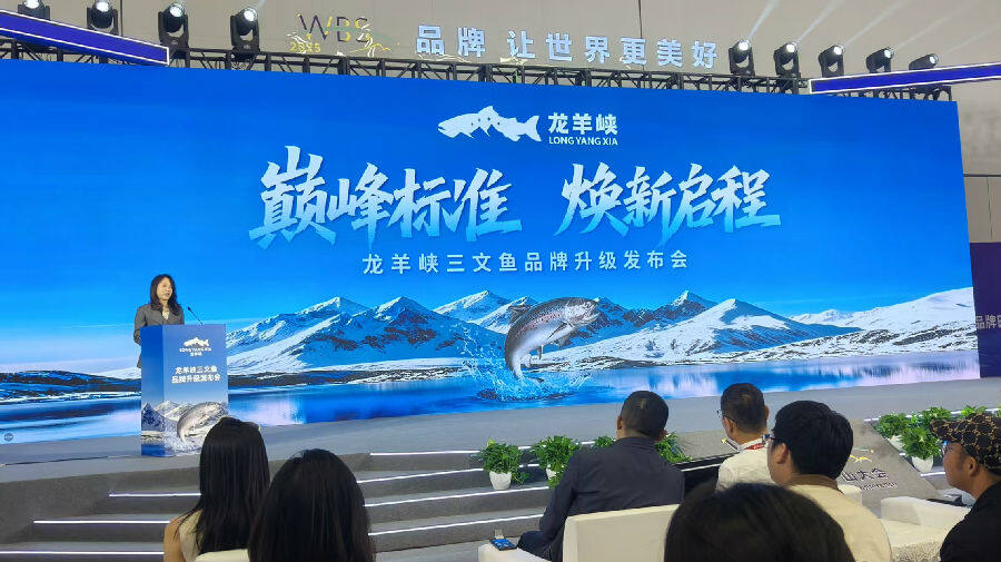发布会现场（曾庆华 摄）