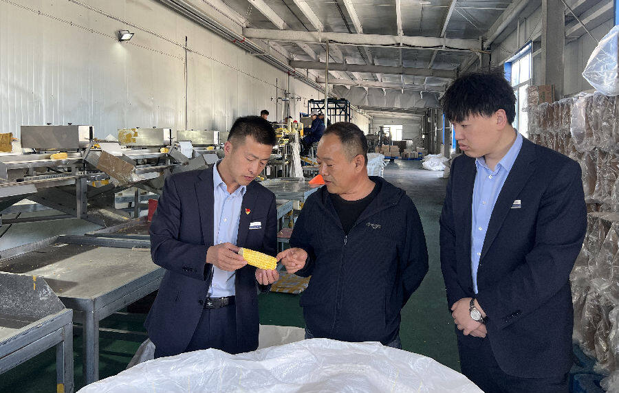额敏县居民在政务服务中心办理营业执照（刘冬萍 摄）