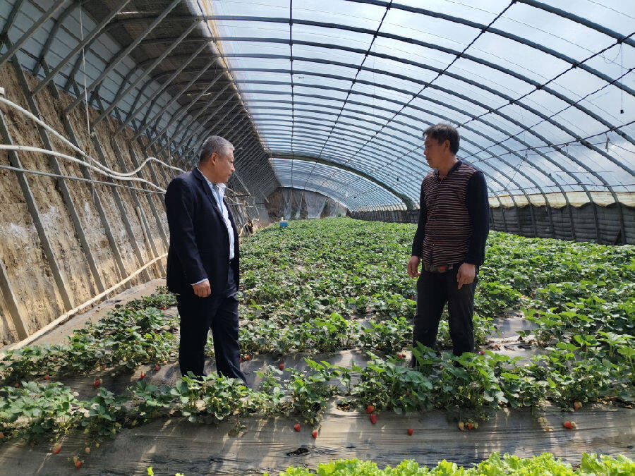 吉林靖宇农商银行工作人员走访客户 （任鹤 摄）