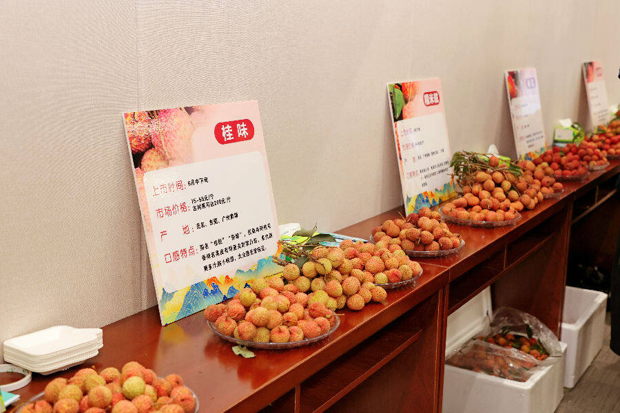  图为荔枝品鉴区（梅乐明 摄）