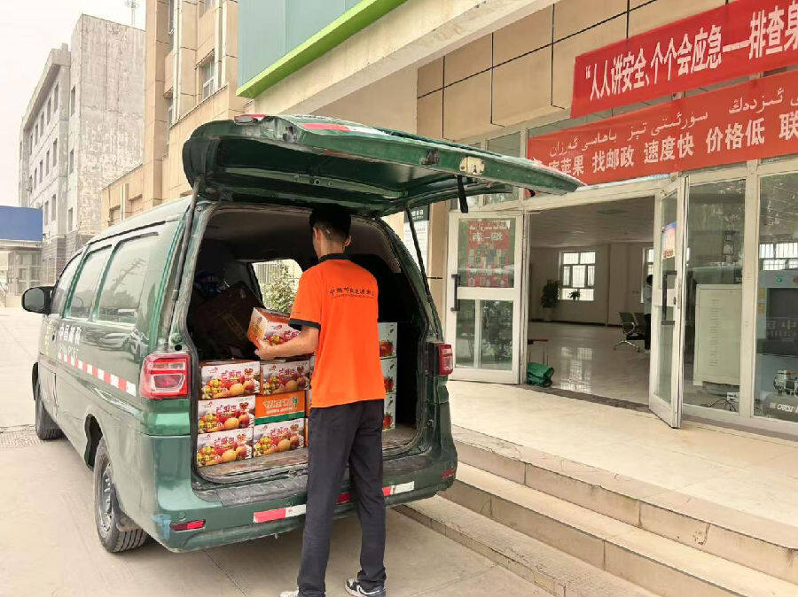 邮政公司工作人员正在搬运芒果杏（卢春学摄）