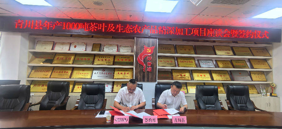 签约现场（宋珍珍 摄）
