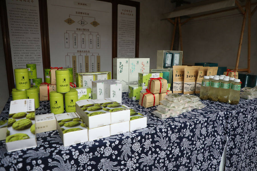 磐安云峰茶展示一览（陈强 摄）