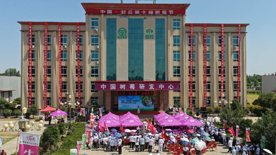 活动现场（杨恒战 摄）
