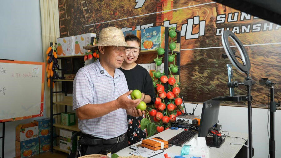 陵江镇笋子沟村果农正在直播卖翠冠梨（张俊  摄）