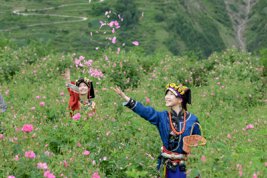 活动现场（肖蓉 摄）