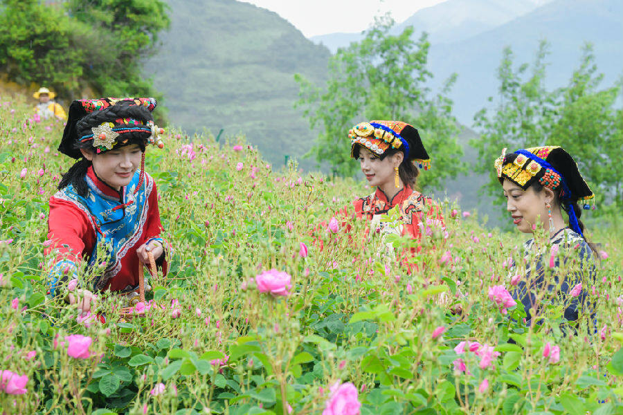 活动现场（肖蓉 摄）