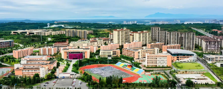 新区聚集多所院校活力十足  唐剑波  摄