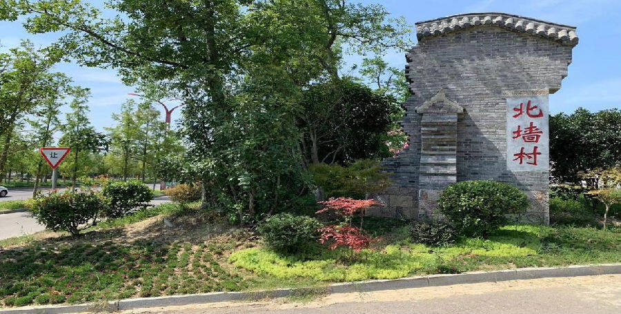 中都街道北墙村和美乡村建设新图景（张振宇 摄）