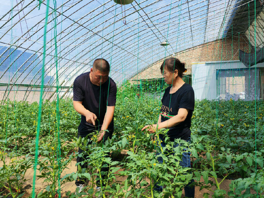 技术员耐心指导村民科学种植。（杨润德 摄）