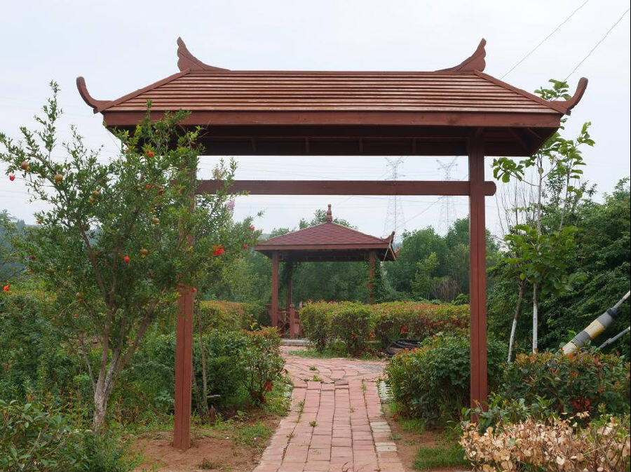 街头公园（陈天豪 摄）
