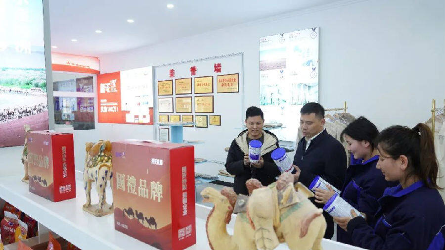 图为新疆新驼乳业有限公司收购驼奶，讲解销售难题（艾热提 摄）