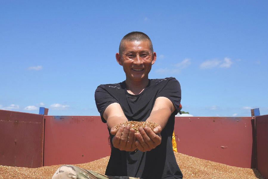 镇赉县金彦家庭农场负责人刘海成拿起新收的小冰麦满脸喜悦（王凯 摄）
