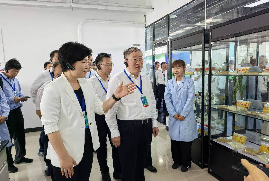 活动现场（王官波 摄）