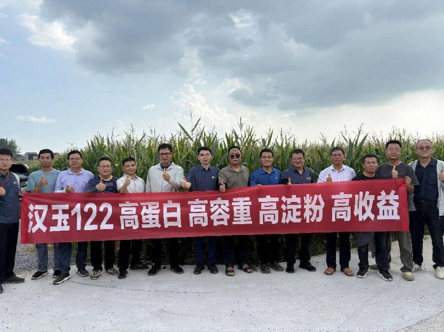专家为产业的未来点赞。（沈重 摄）