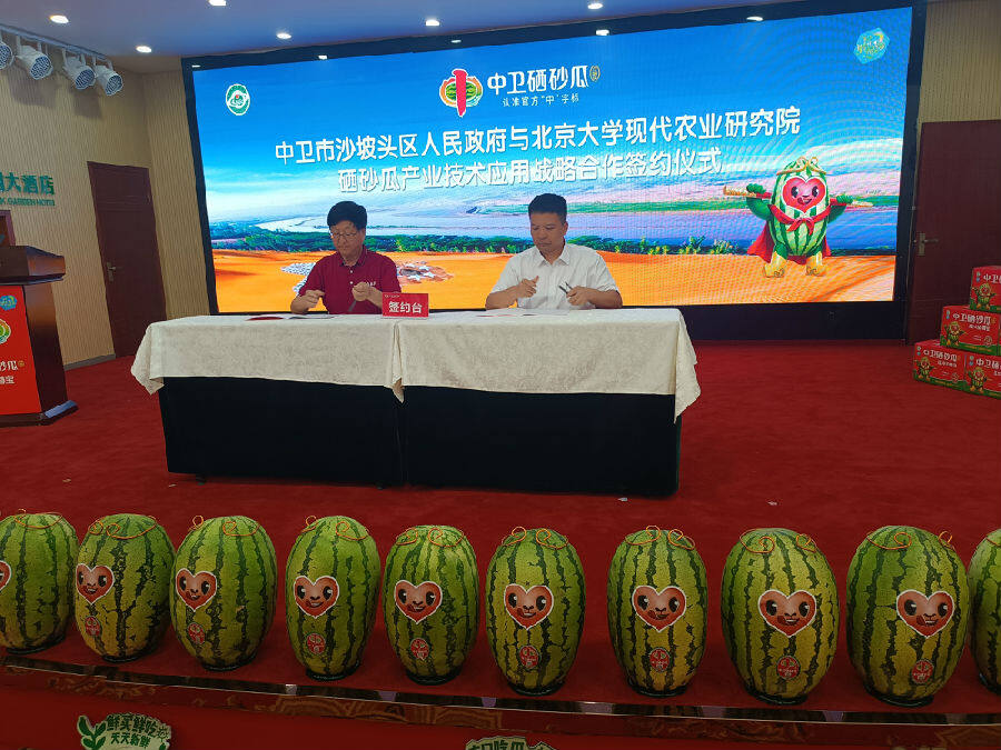 会议现场（杨开新 摄）