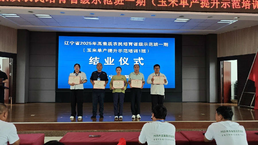 活动现场（王寅 摄）
