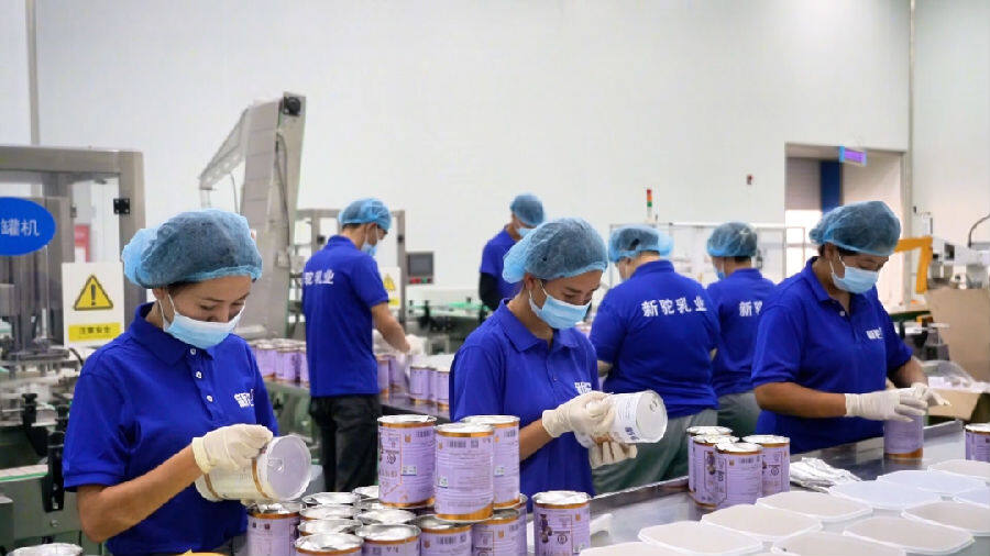 驼奶加工厂（艾热提·加沙热提 摄）