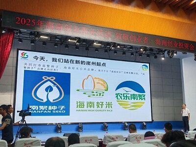海南农乐南繁科技有限公司分享“海水稻”种植技术（罗小春 摄）