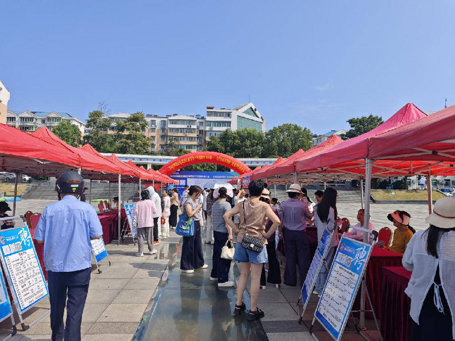 昌河街道“亮灯行动”招聘会在昌河广场火热开场（汪雅婷 摄）