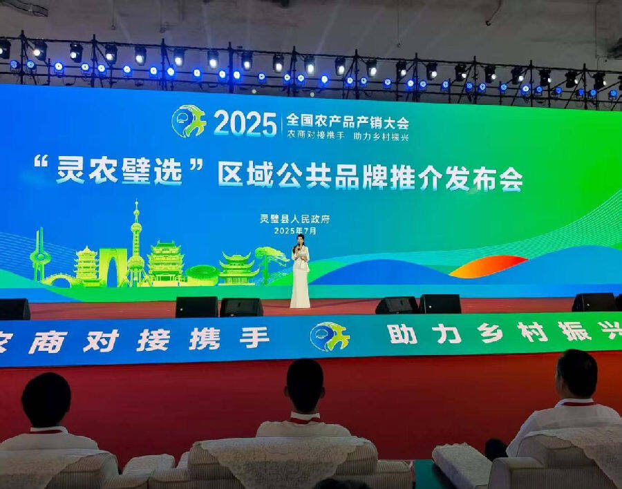 活动现场（胡兴敏 摄）