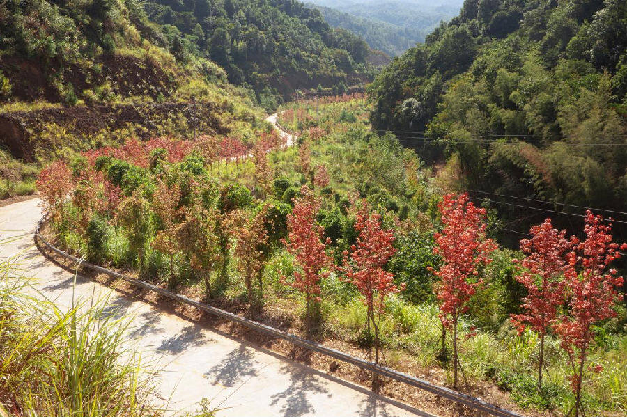 章贡区沙石镇龙岗村“四好农村路” ( 潘才香 摄）