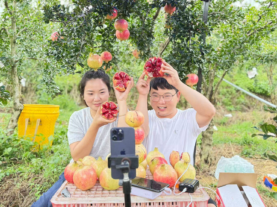 宝妈陈皇凤正在家乡进行直播（陈鹏 摄）