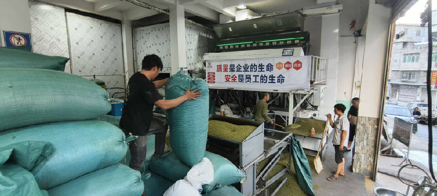 工人们正在给重庆的客商精选花椒（戚原  摄）