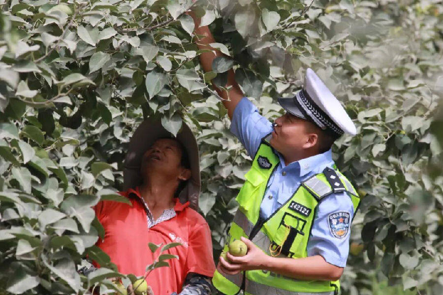 交通民警正在宣传交通安全知识（李超 摄）