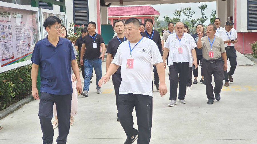 代表们一行进入校园调研（张新军 摄）