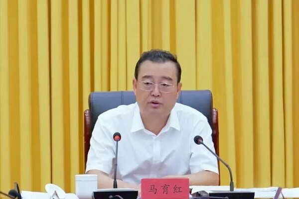 乐东县委书记马育红在会上讲话（乐宣 摄）