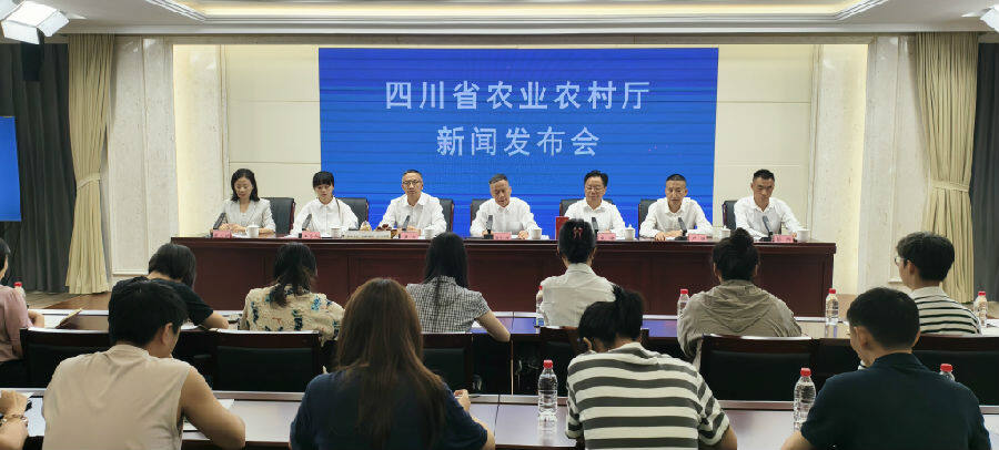 发布会现场（戚原 摄）