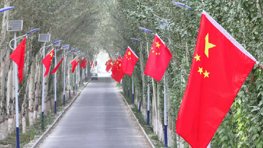 乡村小巷道路两旁的路灯杆上五星红旗迎风飘扬。 （热普亥提·阿不力米提 摄）
