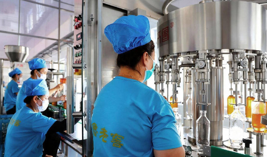 工人正为鸡心果酒灌装、质检、压盖。（毕乐陶 摄）