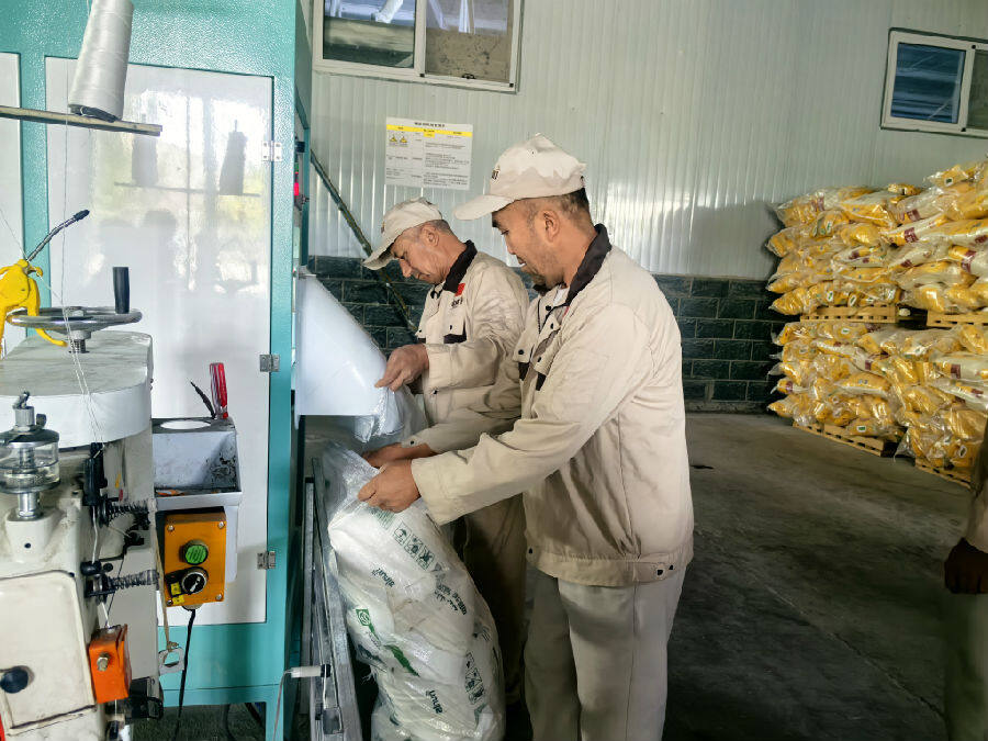 面粉包装车间里，工人正在给袋子封口。（查燕荣 摄）