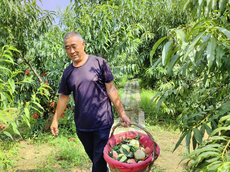  满满收获 （李耀文 摄）