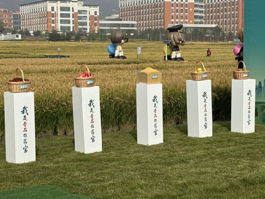 山西特优农产品展示区（席兆平 摄）