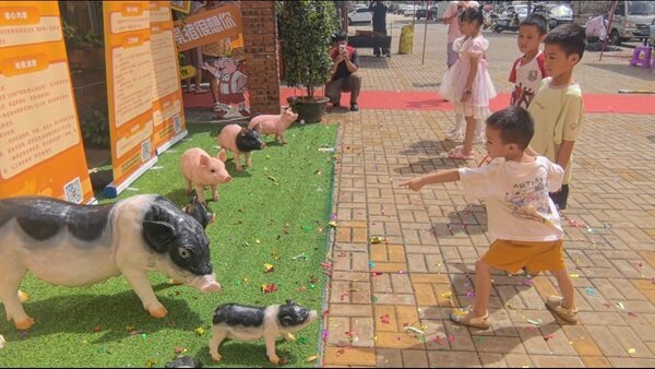 乳猪套圈游戏区（骆金梅 摄）