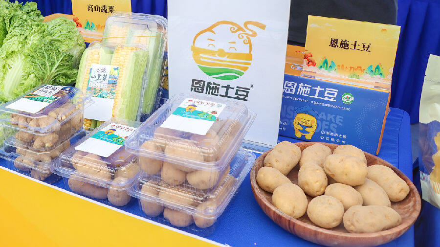 恩施土豆现场展示（乾勋豪 摄）