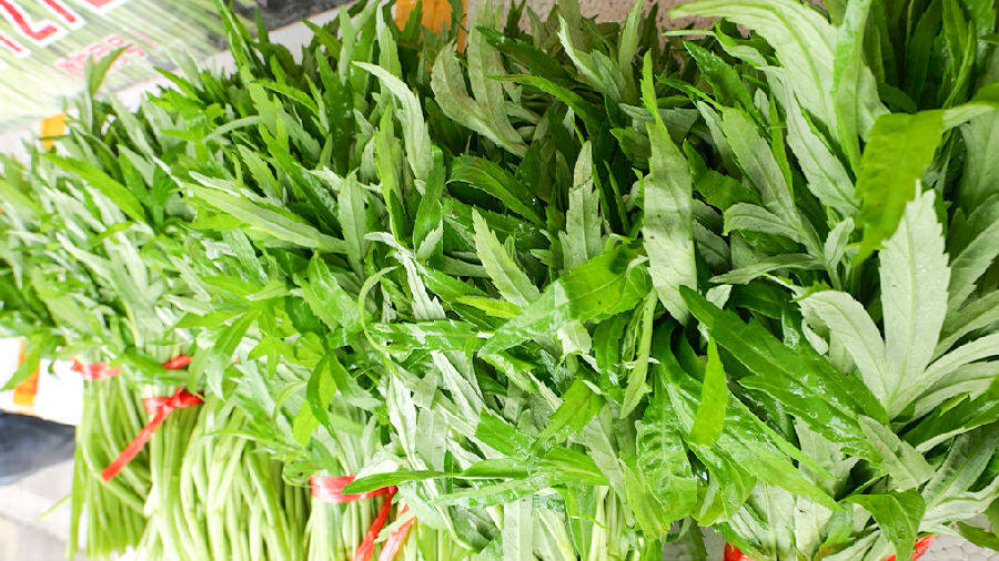 新鲜的藜蒿（乾勋豪 摄）