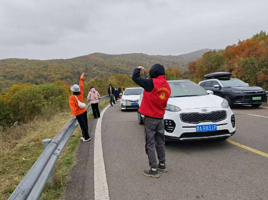 网红秋枫路上党员志愿者化身“摄影师”（陈颢天 摄）