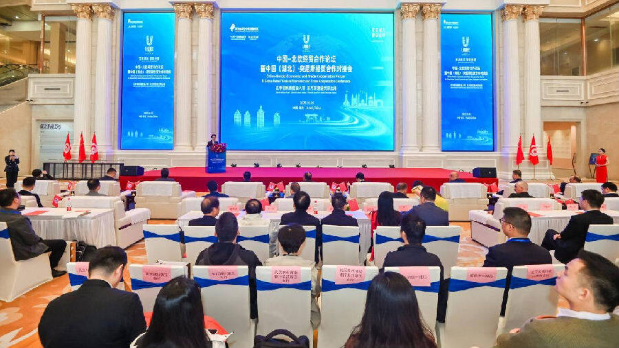 经贸合作对接会现场（李怡 摄）
