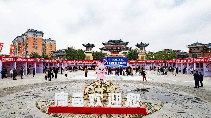 展销会现场（王帅兵 摄）