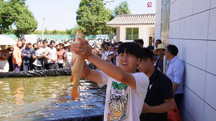 庆丰收现场（张菊 摄）