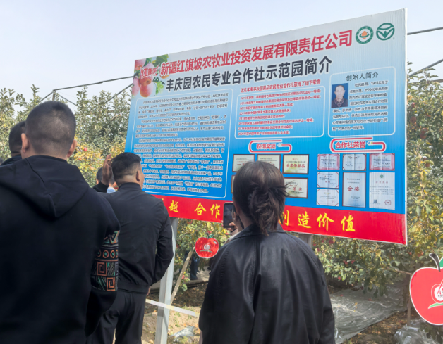 在阿克苏地区丰庆园果品农民专业合作社示范园,百名企业家考察苹果示范园建设情况。(赵霞 摄) 在阿克苏地区丰庆园果品农民专业合作社示范园,百名企业家考察苹果示范园建设情况。(赵霞 摄)