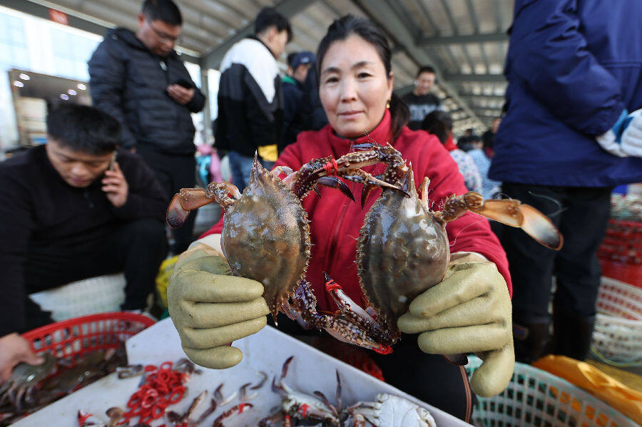 10月24日，在江苏省连云港市赣榆区海头镇海产品交易市场，渔民在展示鲜活梭子蟹。（吴苏红 摄）